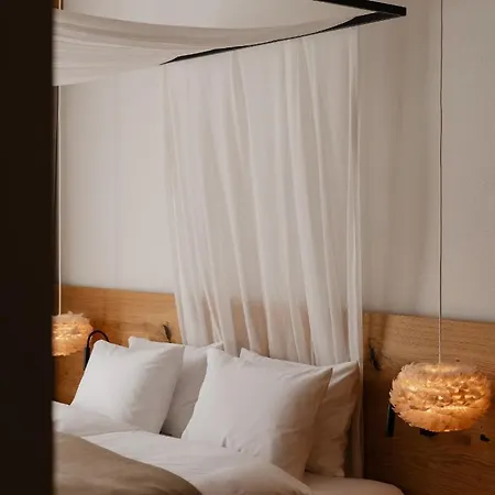Stary Niedzwiedz Bed and breakfast 4*